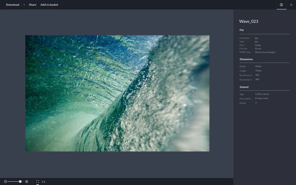 screenshot of WoodWing Assets